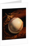 Baseball and a Pitcher's Mitt by Anonymous