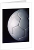 White Soccer Ball by Anonymous