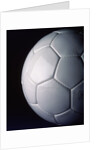 White Soccer Ball by Anonymous