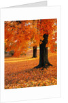 Maple Trees in Autumn by Anonymous