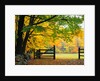 Fall Foliage Surrounds an Open Gate by Anonymous