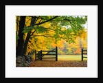 Fall Foliage Surrounds an Open Gate by Anonymous