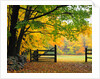 Fall Foliage Surrounds an Open Gate by Anonymous