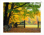 Fall Foliage Surrounds an Open Gate by Anonymous