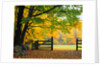 Fall Foliage Surrounds an Open Gate by Anonymous