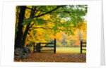 Fall Foliage Surrounds an Open Gate by Anonymous