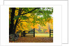 Fall Foliage Surrounds an Open Gate by Anonymous