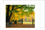 Fall Foliage Surrounds an Open Gate by Anonymous
