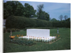 View of Franklin D. Roosevelt's Tombstone by Anonymous