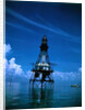 View of Fowey Rocks Lighthouse by Anonymous