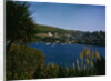 View of Pohnan-by-Fowey by Anonymous