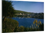 View of Pohnan-by-Fowey by Anonymous