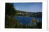 View of Pohnan-by-Fowey by Anonymous