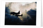 US Navy SBD Dauntless Dive Bombers in Flight by Anonymous
