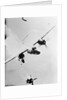 Military Plane Losing Engine by Anonymous