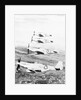 Airplane in Flight over Land by Anonymous