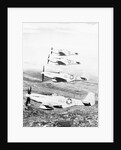 Airplane in Flight over Land by Anonymous