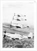 Airplane in Flight over Land by Anonymous
