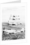 Airplane in Flight over Land by Anonymous