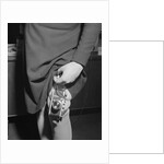 Leg-Mounted Spy Camera by Anonymous