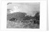 Infantrymen Lying on Ground at Lookout by Anonymous