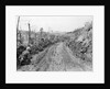 American Soldiers Kneeling on Side of Road in Okinawa by Anonymous