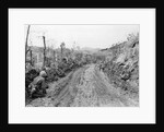 American Soldiers Kneeling on Side of Road in Okinawa by Anonymous