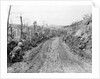 American Soldiers Kneeling on Side of Road in Okinawa by Anonymous