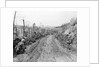 American Soldiers Kneeling on Side of Road in Okinawa by Anonymous