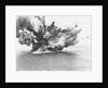 British Warship Barham Exploding at Sea by Anonymous