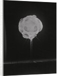 High Speed Camera Capturing Explosion by Anonymous