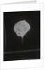 High Speed Camera Capturing Explosion by Anonymous