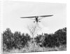Airplane Dropping Cloud of Mosquito Insecticide by Anonymous