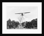 Airplane Dropping Cloud of Mosquito Insecticide by Anonymous