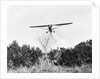 Airplane Dropping Cloud of Mosquito Insecticide by Anonymous