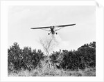 Airplane Dropping Cloud of Mosquito Insecticide by Anonymous
