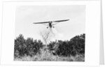 Airplane Dropping Cloud of Mosquito Insecticide by Anonymous