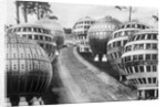 Ball Homes in Germany by Anonymous