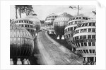 Ball Homes in Germany by Anonymous