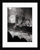 View of Notre Dame Under Firework Display by Anonymous