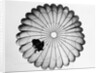 View of a Scottish Paratrooper by Anonymous