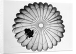 View of a Scottish Paratrooper by Anonymous