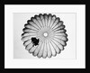 View of a Scottish Paratrooper by Anonymous