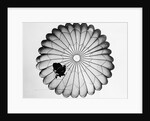 View of a Scottish Paratrooper by Anonymous