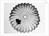 View of a Scottish Paratrooper by Anonymous