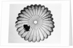View of a Scottish Paratrooper by Anonymous