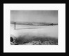View of the Bay Area by Anonymous