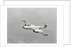 Gloster Meteor Plane in Flight by Anonymous