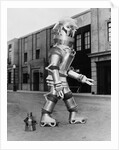 A Walking Robot by Anonymous