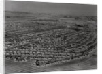Aerial Shot of Los Angeles Area Housing Boom by Anonymous